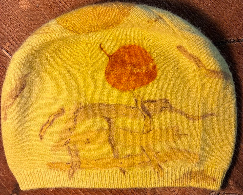 Hat-Eucalyptus sunburst